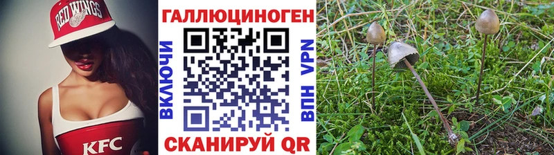продажа наркотиков  Нахабино  Псилоцибиновые грибы ЛСД 